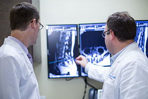 Spine surgeon South Carolina, Minimally invasive spine surgery, Artificial disc replacement Spine surgeon, second opinion, Herniated disc, Laser spine surgery, neurosurgery south Carolina, Second opinion for spine surgery, Home remedies for pain